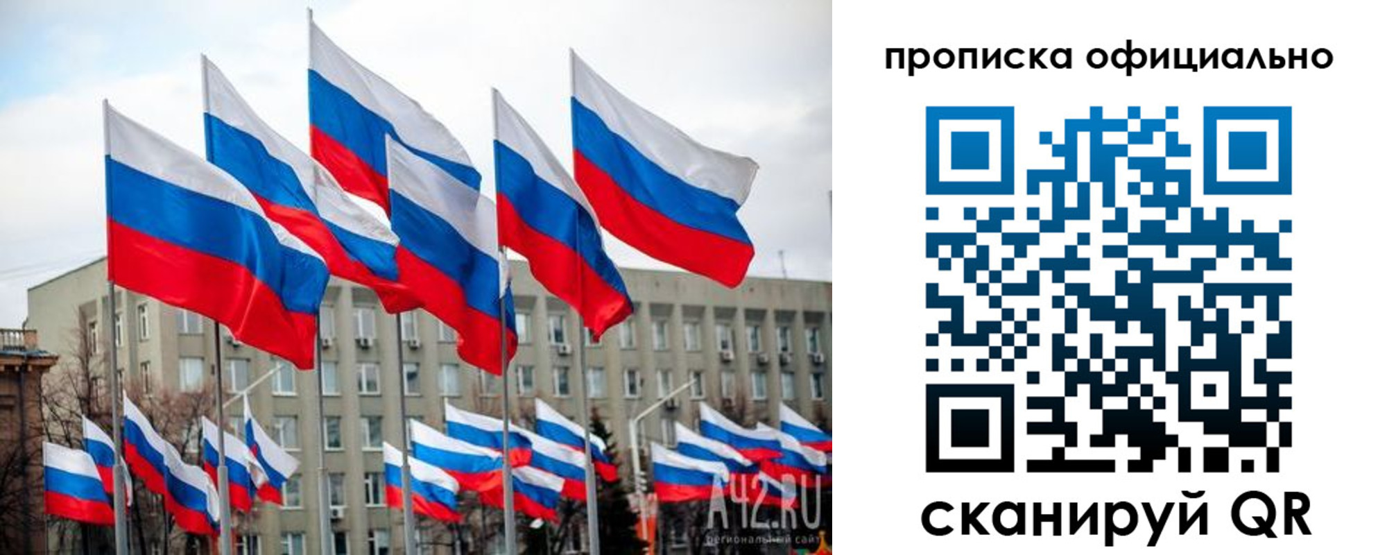 прописка поиск в Зеленодольске
